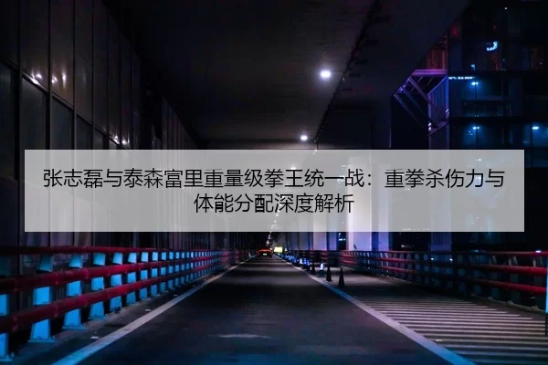 张志磊与泰森富里重量级拳王统一战：重拳杀伤力与体能分配深度解析